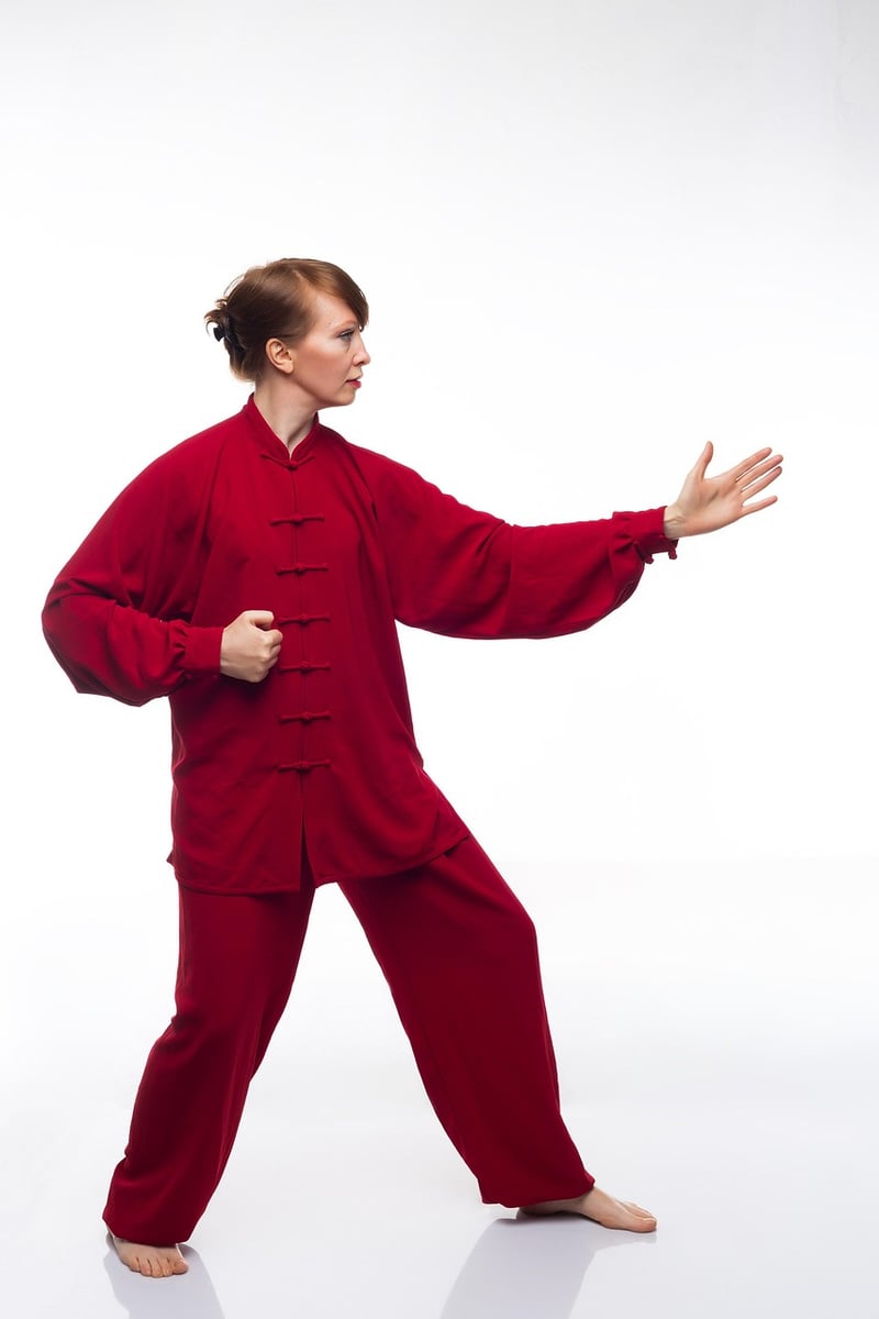 Chen Style Tai Chi Image